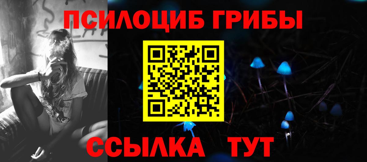 сколько стоит  Псилоцибиновые грибы мухоморы  Вход с VPN  Комсомольск-на-Амуре  Псилоцибиновые грибы мицелий 